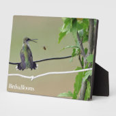 Hummingbird & Honey Bee Fotoplatte (Seite)