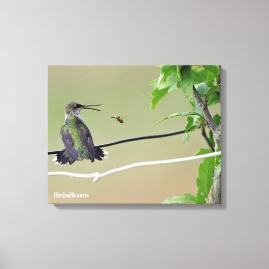 Hummingbird & Honey Bee Leinwanddruck (Vorderseite)