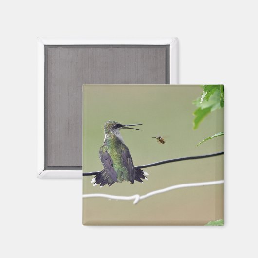 Hummingbird & Honey Bee Magnet (Vorderseite/Rückseite)
