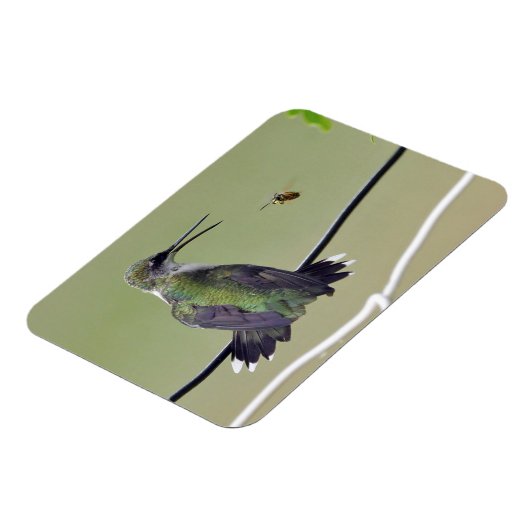 Hummingbird & Honey Bee Magnet (Linke Seite)