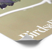 Hummingbird & Honey Bee Poster (Ecke)