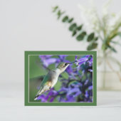 Hummingbird Hover Postkarte (Stehend Vorderseite)
