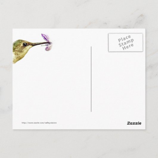 Hummingbird Hover Postkarte (Rückseite)
