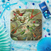 Hummingbird Illustration von Ernst Haeckel Pappteller (Party)