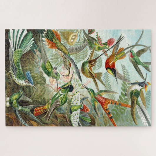 Hummingbird illustriert, 1899, Ernst Haeckel, Puzzle (Horizontal)