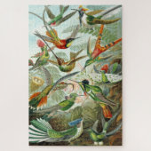 Hummingbird illustriert, 1899, Ernst Haeckel, Puzzle (Vertikal)