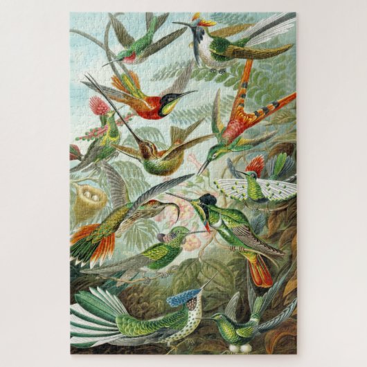 Hummingbird illustriert, 1899, Ernst Haeckel, Puzzle (Vertikal)