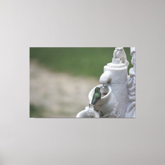 Hummingbird im Brunnen Leinwanddruck (Vorderseite)