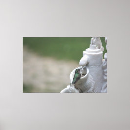 Hummingbird im Brunnen Leinwanddruck