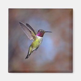 Hummingbird im Flight Magnet