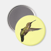 Hummingbird im Flight Round-Magnet Magnet (Vorderseite/Rückseite)