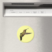 Hummingbird im Flight Round-Magnet Magnet (In Situ (Geschirrspüler))