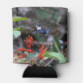 Hummingbird im Flight und in den Roten Blume Dosenkühler (Rückseite)