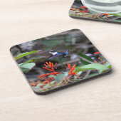 Hummingbird im Flight und in den Roten Blume Getränkeuntersetzer (Linke Seite)