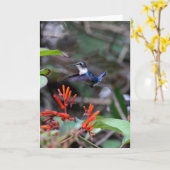 Hummingbird im Flight und in den Roten Blume Karte (Gelbe Blume)