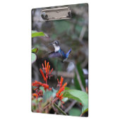 Hummingbird im Flight und in den Roten Blume Klemmbrett (Links)