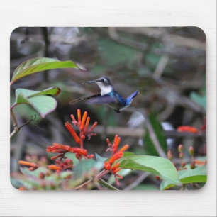 Hummingbird im Flight und in den Roten Blume Mousepad