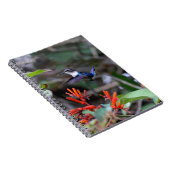 Hummingbird im Flight und in den Roten Blume Notizblock (Rechte Seite)