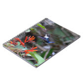 Hummingbird im Flight und in den Roten Blume Notizblock (Linke Seite)