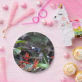 Hummingbird im Flight und in den Roten Blume Pappteller (Party)