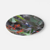 Hummingbird im Flight und in den Roten Blume Pappteller (Schrägansicht)