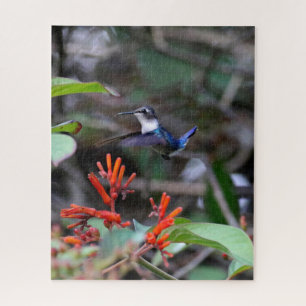 Hummingbird im Flight und in den Roten Blume Puzzle