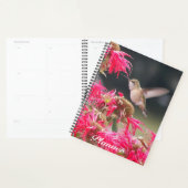 Hummingbird im Foto Planer (Anzeige)