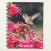 Hummingbird im Foto Planer (Vorderseite)