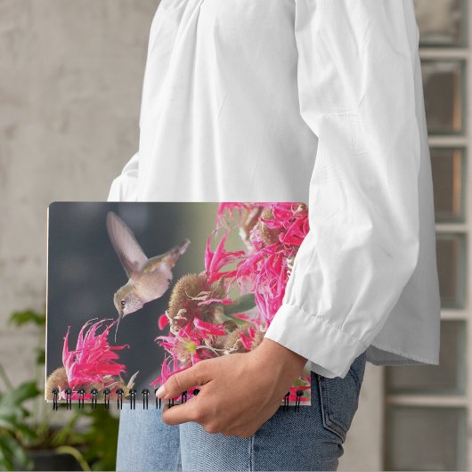 Hummingbird im Foto Planer