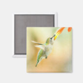 Hummingbird im Frühmorgendlicht Magnet (Vorderseite/Rückseite)