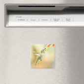 Hummingbird im Frühmorgendlicht Magnet (In Situ (Geschirrspüler))