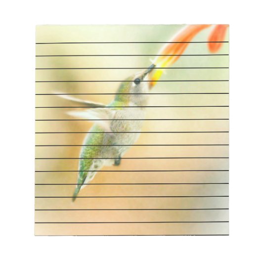Hummingbird im Frühmorgendlicht Notizblock (Vorderseite)