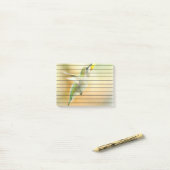 Hummingbird im Frühmorgendlicht Post-it Klebezettel (Auf Schreibtisch)