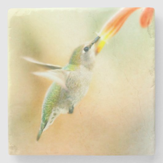 Hummingbird im Frühmorgendlicht Steinuntersetzer (Vorderseite)