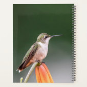 Hummingbird im Hudson Valley 2024 Planer (Rückseite)