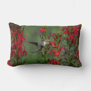 Hummingbird im Kardinal Blume Lendenkissen