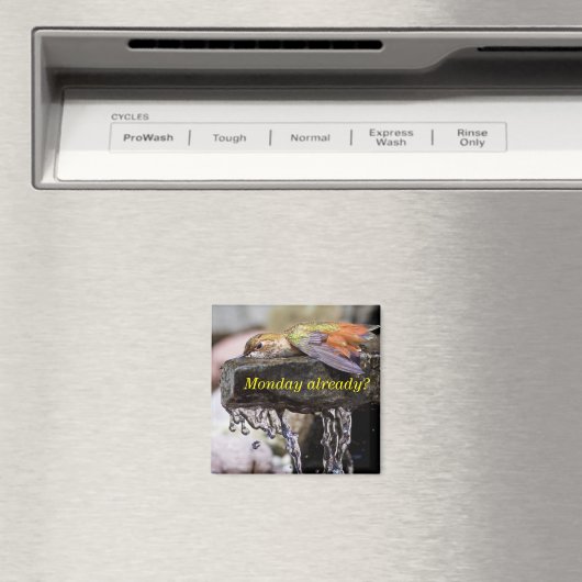 Hummingbird im Wasser 2 Magnet (In Situ (Geschirrspüler))