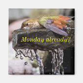 Hummingbird im Wasser 2 Magnet (Vorne)