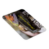 Hummingbird im Wasser 2 Magnet (Rechte Seite)