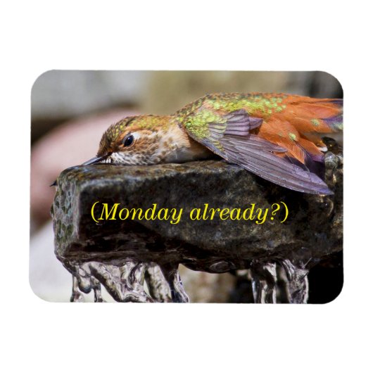 Hummingbird im Wasser 2 Magnet (Horizontal)