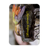 Hummingbird im Wasser 2 Magnet (Vertikal)
