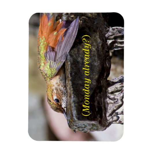 Hummingbird im Wasser 2 Magnet (Vertikal)