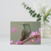Hummingbird in der Erholung Postkarte (Stehend Vorderseite)