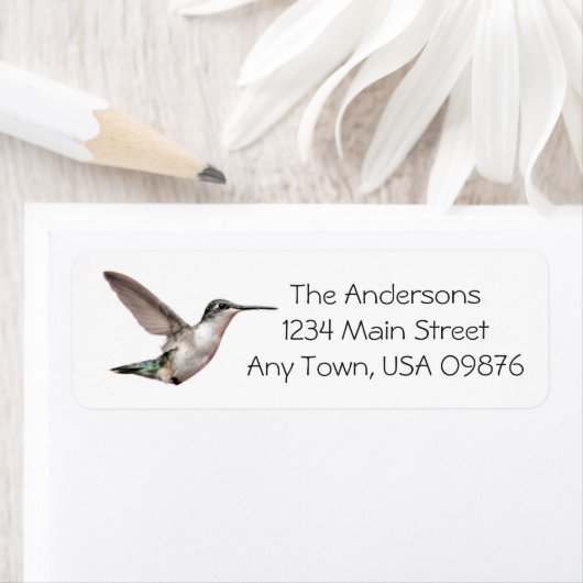 Hummingbird in der Luft, individuelle Adresse (Insitu)