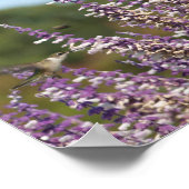 Hummingbird in einer mexikanischen Pflanze Zeichne Poster (Ecke)