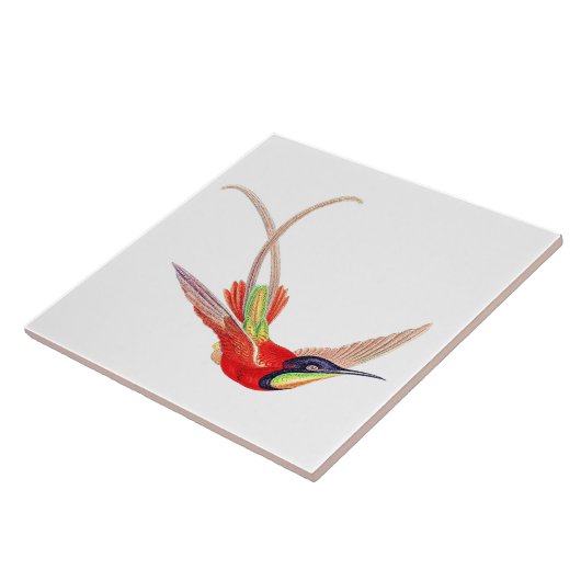Hummingbird in Flight Fliese (Seite)