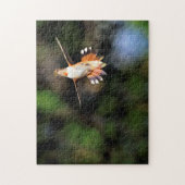 Hummingbird in Flight Jigsaw Puzzle (Vertikal)