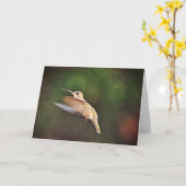 Hummingbird in Flight Note Card Karte (Gelbe Blume)