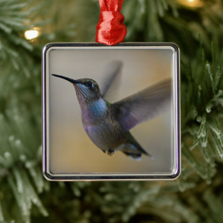 Hummingbird in Flutter Ornament Aus Metall