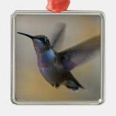 Hummingbird in Flutter Ornament Aus Metall (Vorne)